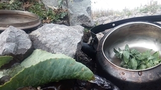 دمنوش گیاهی به همراه کباب در کوهستان