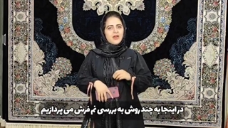 راه های ساده از بین بردن بوی نم فرش | فرش اردیبهشت کاشان