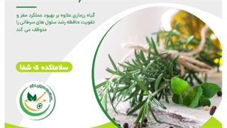 خواص مریم گلی