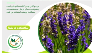 خواص مریم گلی