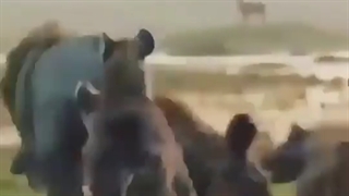 رفیق من سنگ صبور غم ها