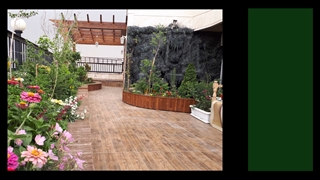 نمونه های زیبای انواع روف گاردن (بام سبز)