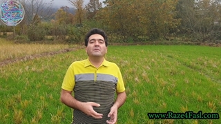 چگونه می توانیم از دل مشکلات امروزمان گنج استخراج کنیم؟