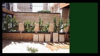 طراحی و اجرای روف گاردن