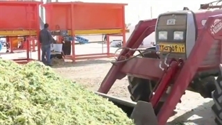 دستگاه بسته بندی علوفه 40 کیلویی