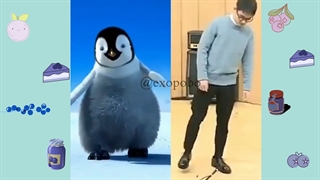 دی او یا پنگوئن؟