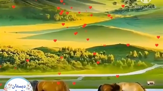 کلیپ جشن شکوفه ها(www.zakariarazy.blogfa (3)