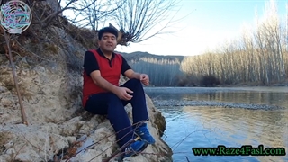 پویش تولد نور چیست و چه کاربردی در زندگی امروز ما دارد؟