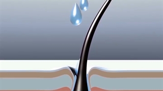 سرم تقویت کننده ی موی لوییس بین