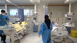 گره گشایی به نیت امام رضا(ع)