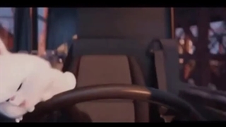 این خرگوشه یا خرگوش اینه؟ این حجم از خرگوشی قابل قبول نیستتت