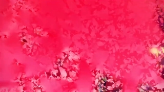 انیمه Onmyoji: Heian Monogatari قسمت 2+زیرنویس فارسی