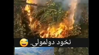 نخود دولمولی در دیزباد
