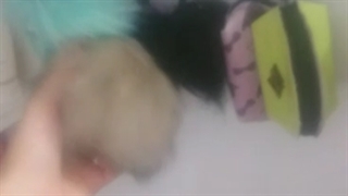 ولاگ یکتا جون/ تاریخ ولاگ در کپشن