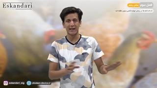 کدام تخم ها در پایان جوجه کشی بدون نطفه اند ؟ (فصل سوم - قسمت پنجم)