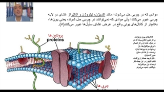 فیلم تدریس نحوه کار کرد سیستم اعصاب بوِیژه مغز