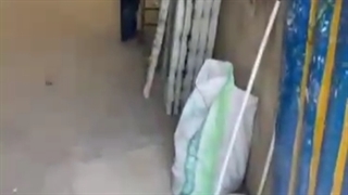 کارگاه مجسمه سازی مادیا(عربی)|تولید کننده بهترین محصولات پیش ساخته فایبرگلاس|رزین|پلی استر