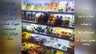 یخچال میوه صنایع برودتی پژمان