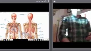 زیست یازدهم جلسه نهم