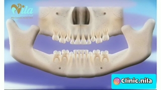 نحوه ی رشد دندان ها