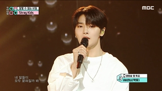 اجرای "Secret Secret"از گروه استری کیدز با زیرنویس آنلاین فارسی