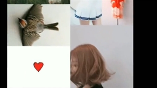 معرفی Sora Takenouchi ساخت خودم