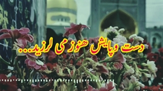 پیشکشی در محضر غریبالغربا....شاه خراسان