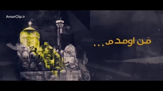 امام رضا قربون کبوترات یه نگاهی هم بکن به زیر پات...