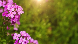 مشارکت جهت ساخت کلیپ برای تبلیغ دین و پاسخ به شبهات اسلام ستیزان