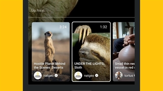 آموزش IGTV اینستاگرام و نحوه پست گذاشتن در آن - نیک فالوور