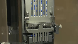 ویثر نوتریشن- خط تولید مکمل های ویثر