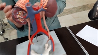 عملی کلیه جلسه اول پارت 1. پزشکی