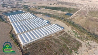 معرفی بخش های مختلف مجموعه گردشگری کشاورزی کشت و صنعت امید شهر خوزی