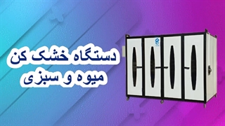 دستگاه خشک کن میوه و سبزی / خشک کن سیب و خرما و میگو و ماهی و لیمو