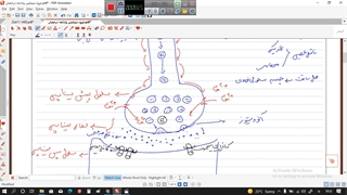 تدریس زیست۲-از سیناپس تا مغز میانی-مدرس سعید فتحی پور