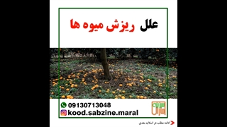 علل ریزش میوه ها_مشاوره واتساپ09130713048_سبزینه مارال یزد
