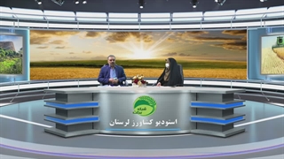 جهش تولید در مزارع دیم استان لرستان (قسمت سوم)