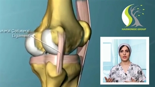 فیزیوتراپی مینیسک زانو