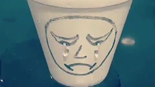 دلم