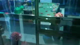 مزار حضرت عبدالقدیر نقشبندی مجددی