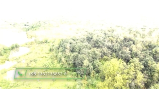 زمین مسکونی تجاری 9 هکتاری