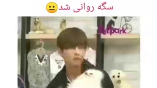 اسکل کردن ی سگ توسط تهیونگ