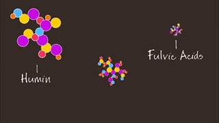 هیومیک اسید چیست؟