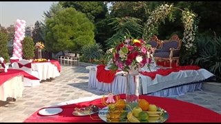 رستوران سرسبز