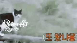 نتیجه زیاد گشتن با یونگی :)