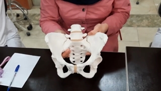 عملی .آناتومی پیشابراه و لگن. پزشکی