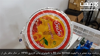 جت پرینتر بنتسای B2 bentsai