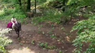 میکس سریال علاقه پادشاه⁦^_^⁩