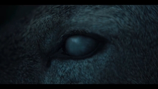 فیلم پادشاهی: آشین شمالی Kingdom: Ashin of the North 2021