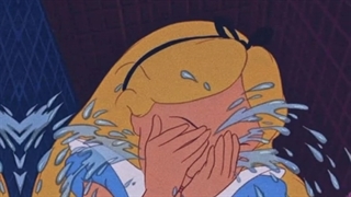 گریه های مختلف 